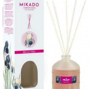 Parfum d'intérieur Bella Vida Mikado